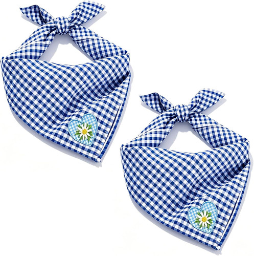 Oktoberfest accessoires 2 - oktoberfest,